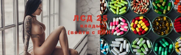 эйфоретик Беломорск